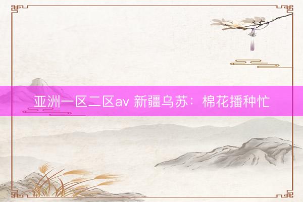 亚洲一区二区av 新疆乌苏：棉花播种忙