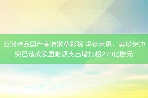 亚洲精品国产高清嫩草影院 冯德莱恩：美以伊冲突已造成欧盟能源支出增加超270亿欧元