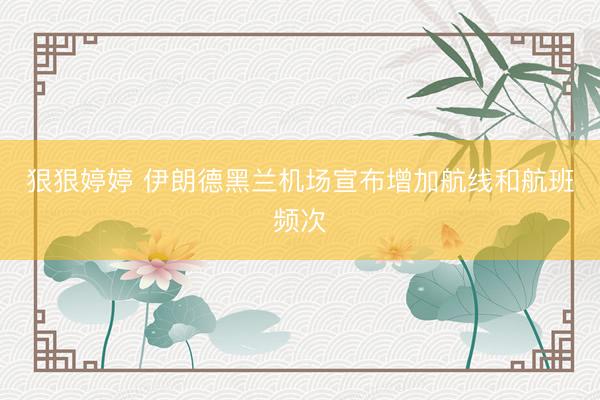 狠狠婷婷 伊朗德黑兰机场宣布增加航线和航班频次