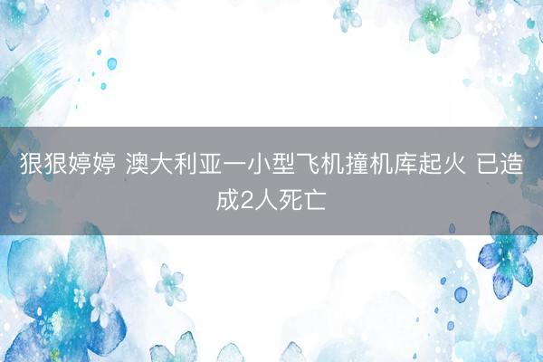 狠狠婷婷 澳大利亚一小型飞机撞机库起火 已造成2人死亡