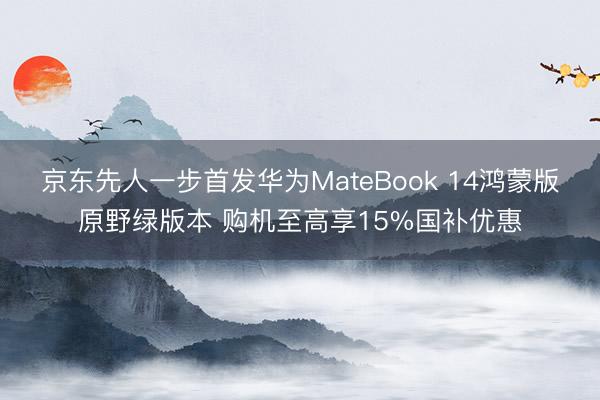 京东先人一步首发华为MateBook 14鸿蒙版原野绿版本 购机至高享15%国补优惠
