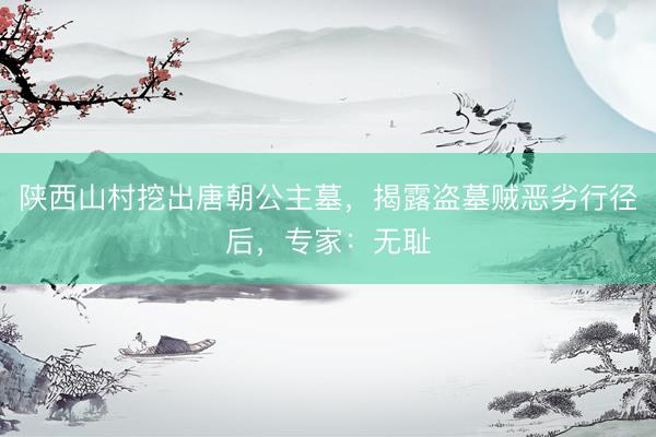 陕西山村挖出唐朝公主墓，揭露盗墓贼恶劣行径后，专家：无耻