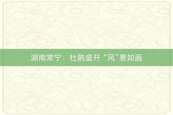 湖南常宁：杜鹃盛开 “风”景如画
