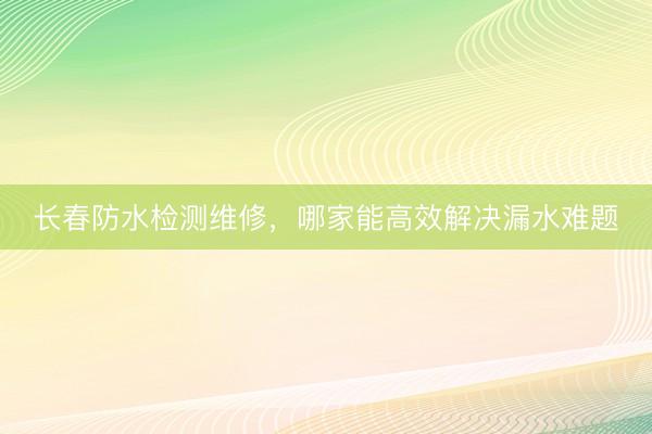 长春防水检测维修，哪家能高效解决漏水难题
