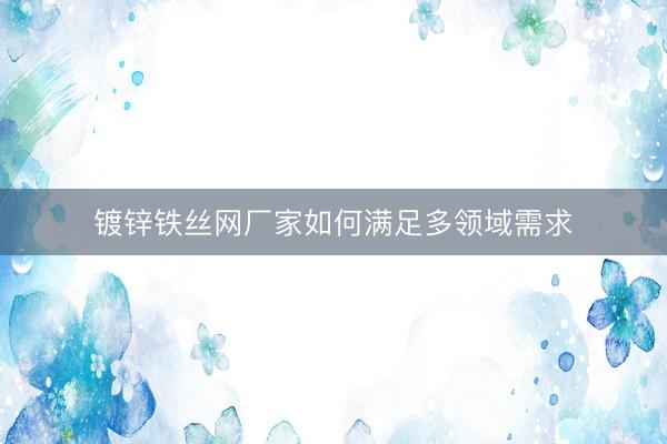 镀锌铁丝网厂家如何满足多领域需求