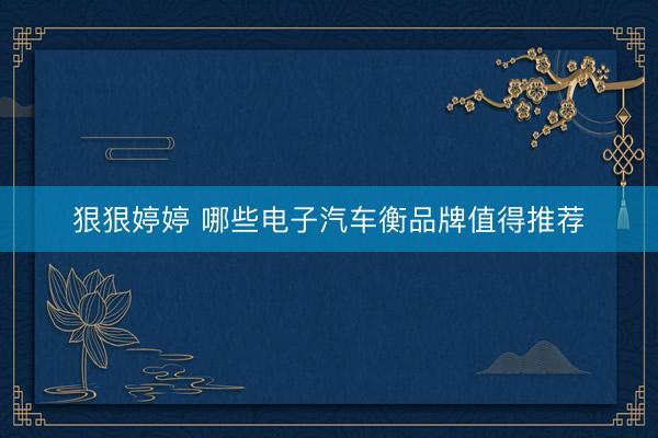 狠狠婷婷 哪些电子汽车衡品牌值得推荐