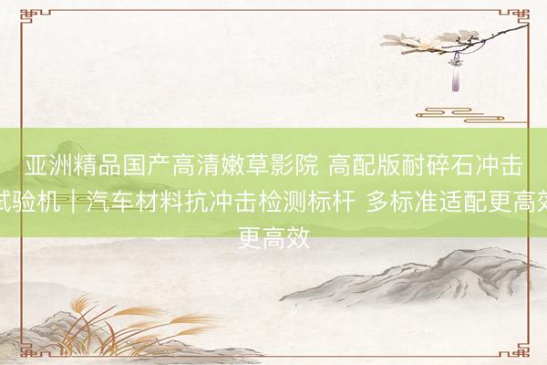 亚洲精品国产高清嫩草影院 高配版耐碎石冲击试验机｜汽车材料抗冲击检测标杆 多标准适配更高效