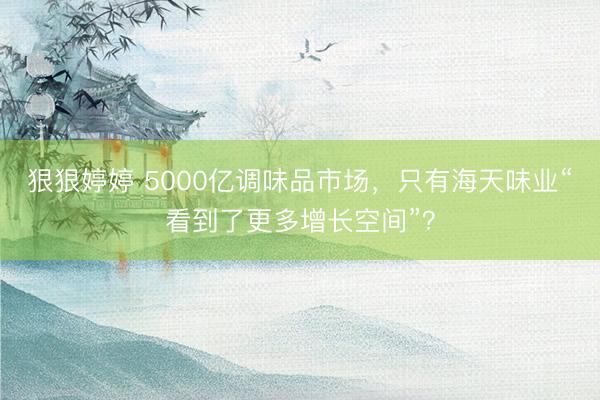 狠狠婷婷 5000亿调味品市场，只有海天味业“看到了更多增长空间”？