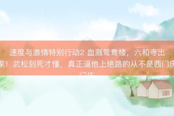 速度与激情特别行动2 血溅鸳鸯楼，六和寺出家！武松到死才懂，真正逼他上绝路的从不是西门庆