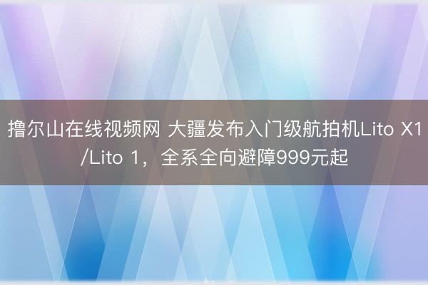 撸尔山在线视频网 大疆发布入门级航拍机Lito X1/Lito 1，全系全向避障999元起
