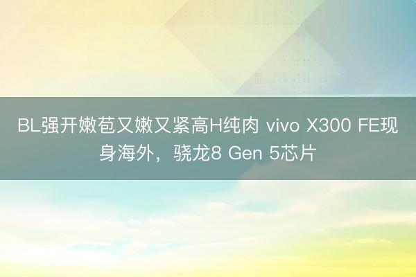 BL强开嫩苞又嫩又紧高H纯肉 vivo X300 FE现身海外,骁龙8 Gen 5芯片