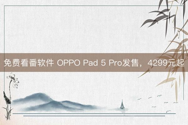 免费看番软件 OPPO Pad 5 Pro发售，4299元起