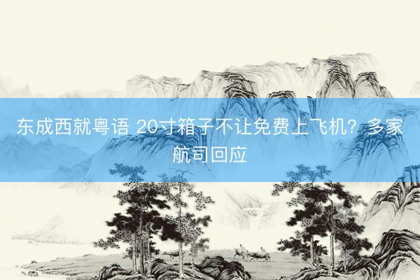 东成西就粤语 20寸箱子不让免费上飞机？多家航司回应