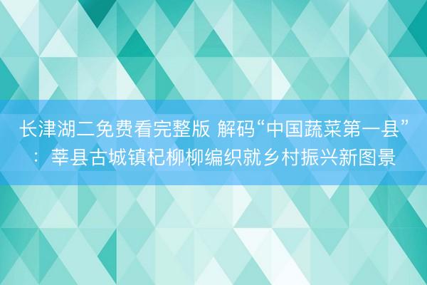 长津湖二免费看完整版 解码“中国蔬菜第一县”：莘县古城镇杞柳柳编织就乡村振兴新图景