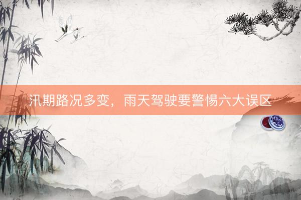 汛期路况多变，雨天驾驶要警惕六大误区