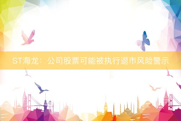 ST海龙：公司股票可能被执行退市风险警示