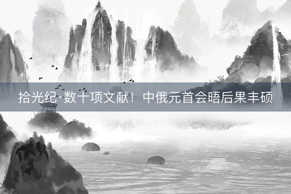 拾光纪·数十项文献！中俄元首会晤后果丰硕