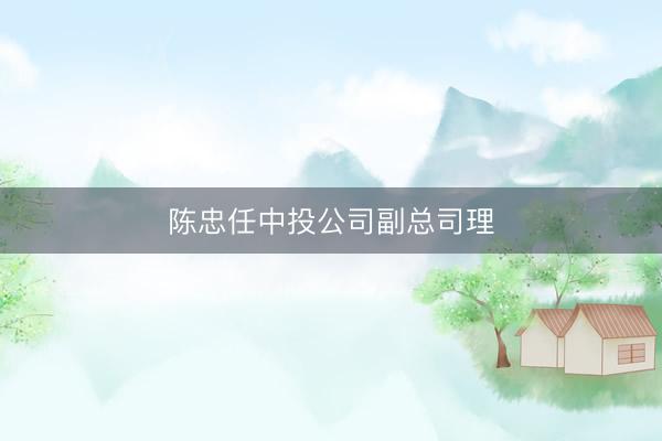 陈忠任中投公司副总司理