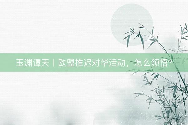 玉渊谭天丨欧盟推迟对华活动，怎么领悟？