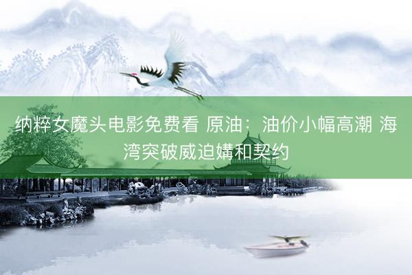 纳粹女魔头电影免费看 原油：油价小幅高潮 海湾突破威迫媾和契约