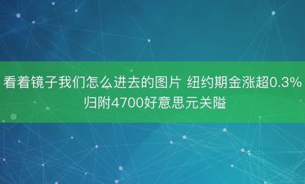 看着镜子我们怎么进去的图片 纽约期金涨超0.3% 归附4700好意思元关隘