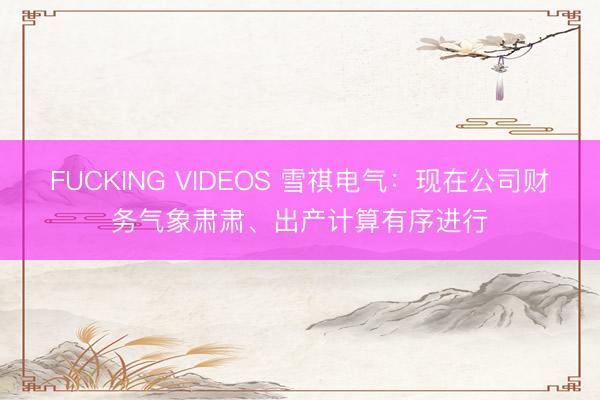 FUCKING VIDEOS 雪祺电气：现在公司财务气象肃肃、出产计算有序进行