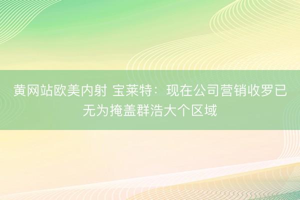 黄网站欧美内射 宝莱特：现在公司营销收罗已无为掩盖群浩大个区域