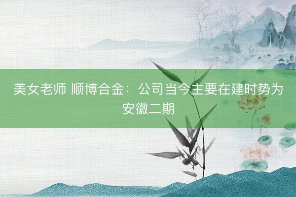 美女老师 顺博合金：公司当今主要在建时势为安徽二期