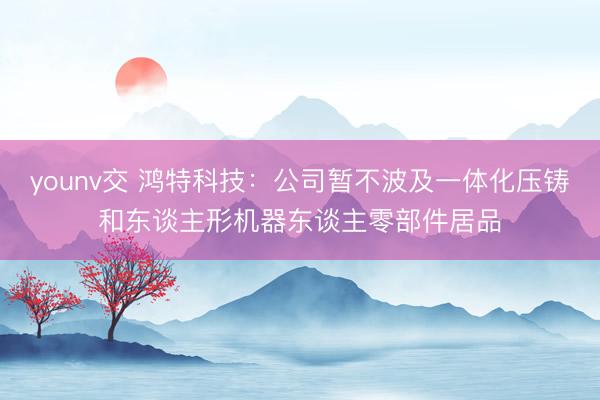 younv交 鸿特科技：公司暂不波及一体化压铸和东谈主形机器东谈主零部件居品