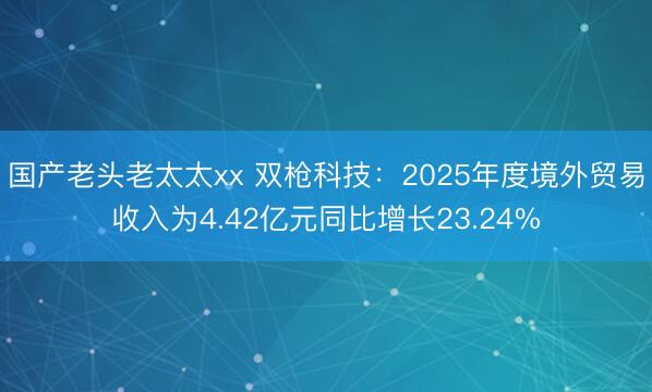 国产老头老太太xx 双枪科技:2025年度境外贸易收入为4.42亿元同比增长23.24%