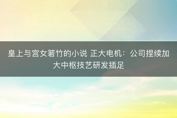 皇上与宫女箬竹的小说 正大电机：公司捏续加大中枢技艺研发插足