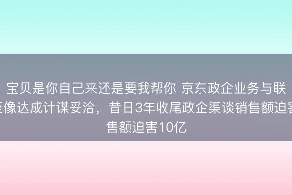 宝贝是你自己来还是要我帮你 京东政企业务与联念念至像达成计谋妥洽,昔日3年收尾政企渠谈销售额迫害10亿