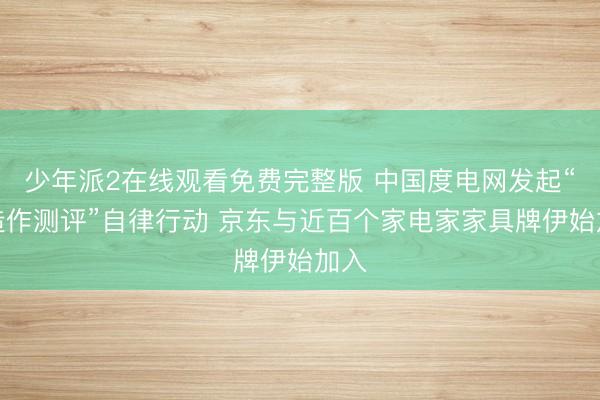 少年派2在线观看免费完整版 中国度电网发起“反造作测评”自律行动 京东与近百个家电家家具牌伊始加入