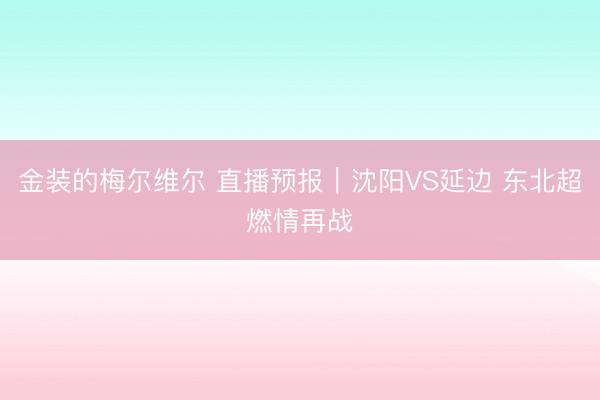 金装的梅尔维尔 直播预报｜沈阳VS延边 东北超燃情再战