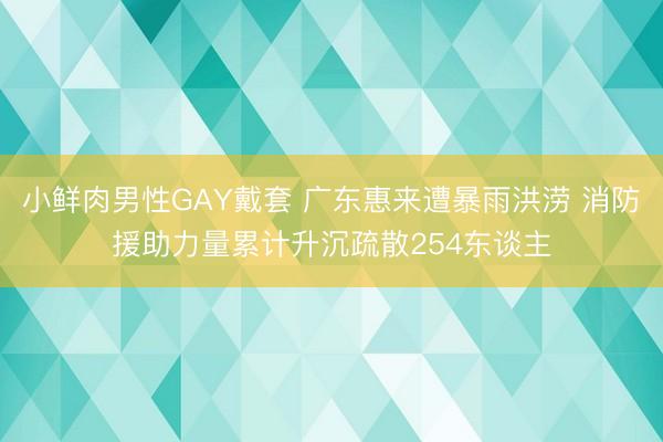 小鲜肉男性GAY戴套 广东惠来遭暴雨洪涝 消防援助力量累计升沉疏散254东谈主