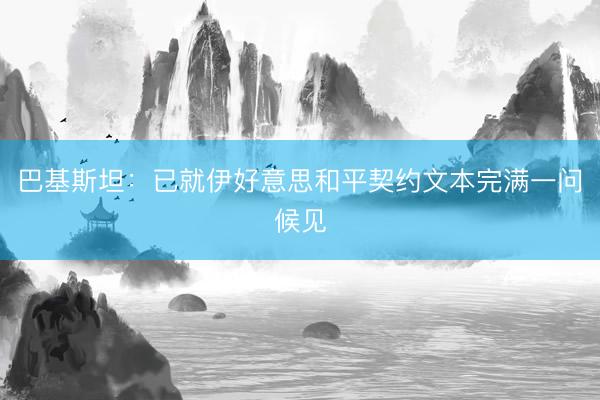 巴基斯坦：已就伊好意思和平契约文本完满一问候见