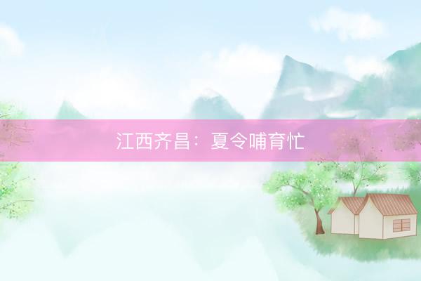 江西齐昌：夏令哺育忙